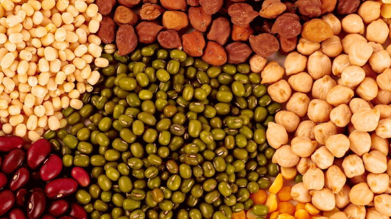 World Pulses Day - February 10